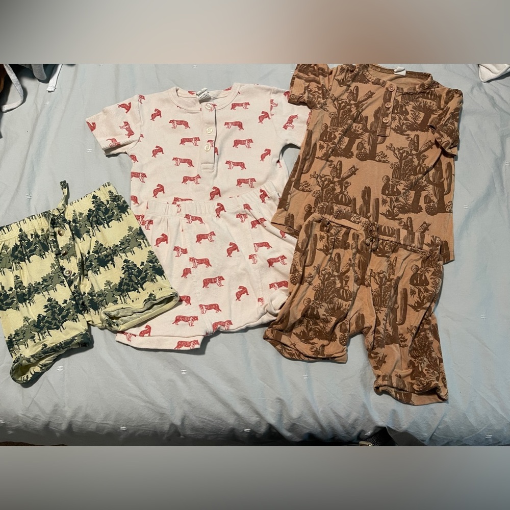 2T Kate Quinn bundle, Tiger, cactus